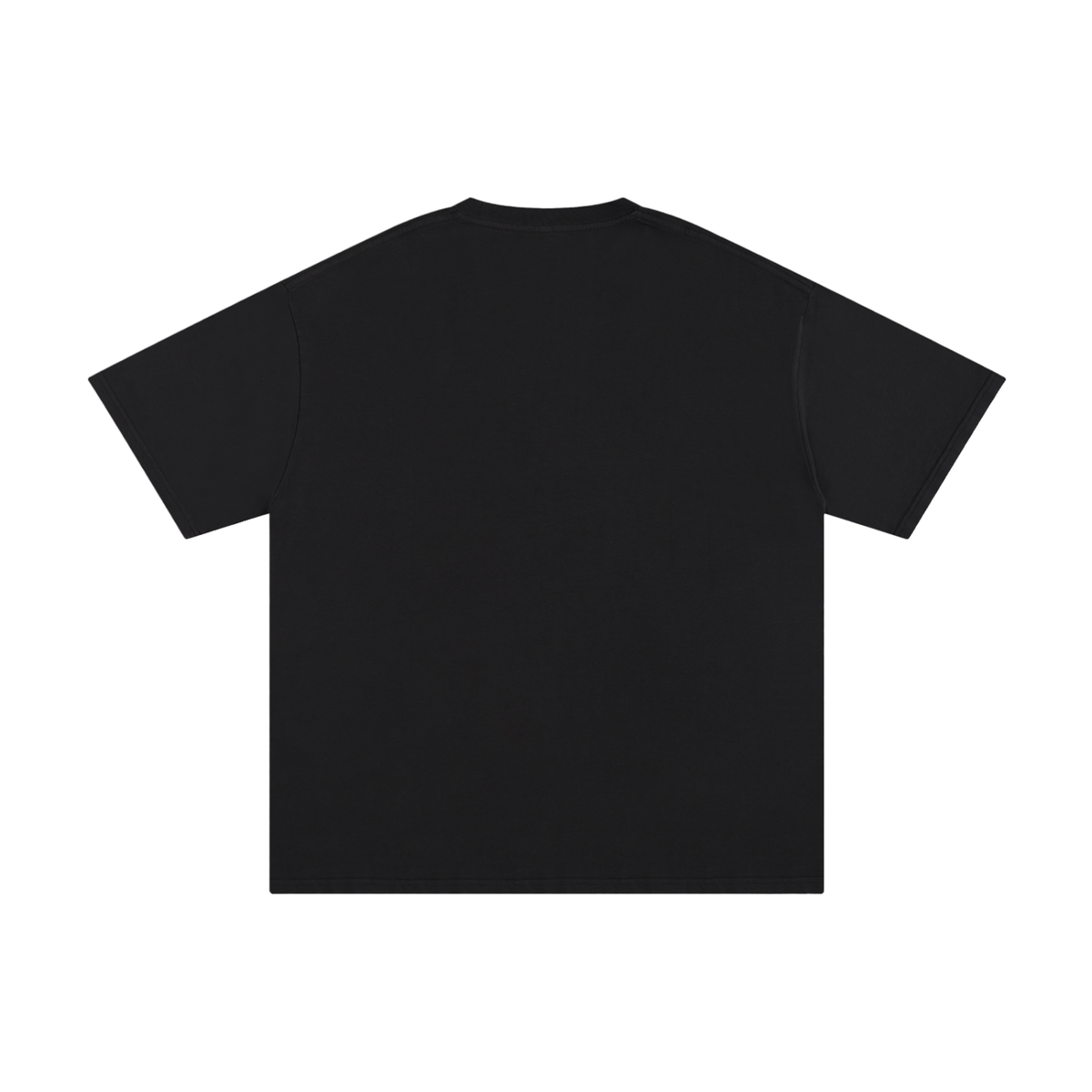 Classic T-Shirt: Ready/Fight